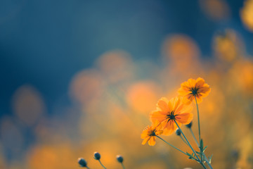 《远离尘嚣》说明了什么