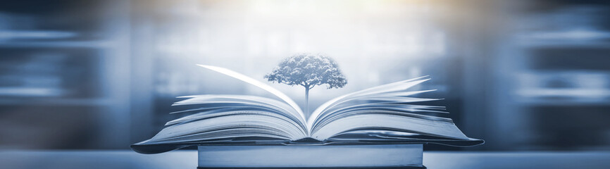 张杰的新歌《看月亮爬上来》歌词