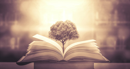 张杰的新歌《看月亮爬上来》歌词