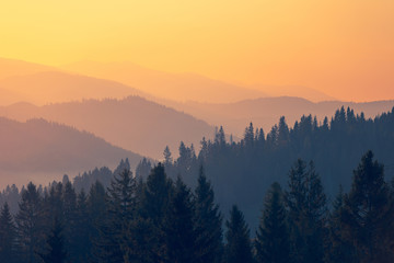 好看的日本鬼片