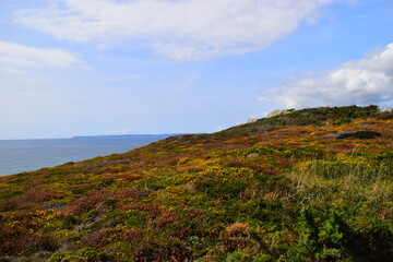 《远离尘嚣》说明了什么