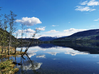 《远离尘嚣》说明了什么