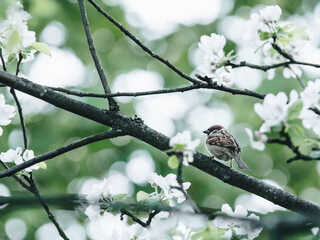 好看的日本鬼片