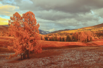 好看的日本鬼片