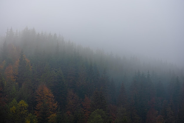张杰的新歌《看月亮爬上来》歌词