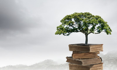 《远离尘嚣》说明了什么