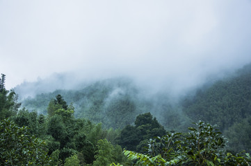 《远离尘嚣》说明了什么
